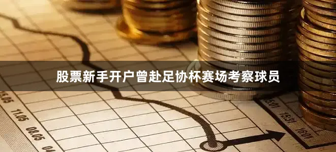 股票新手开户曾赴足协杯赛场考察球员