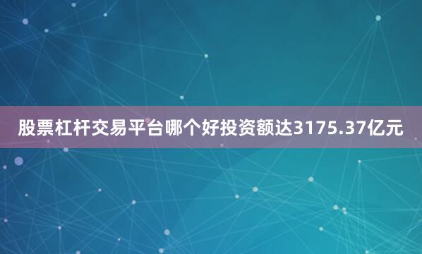 股票杠杆交易平台哪个好投资额达3175.37亿元